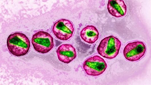 Đột phá khoa học mang lại hy vọng cho bệnh nhân AIDS ảnh 1