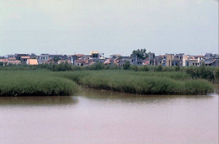 Cảnh quan quanh làng gốm Bát Tràng. Ảnh chụp năm 1991.