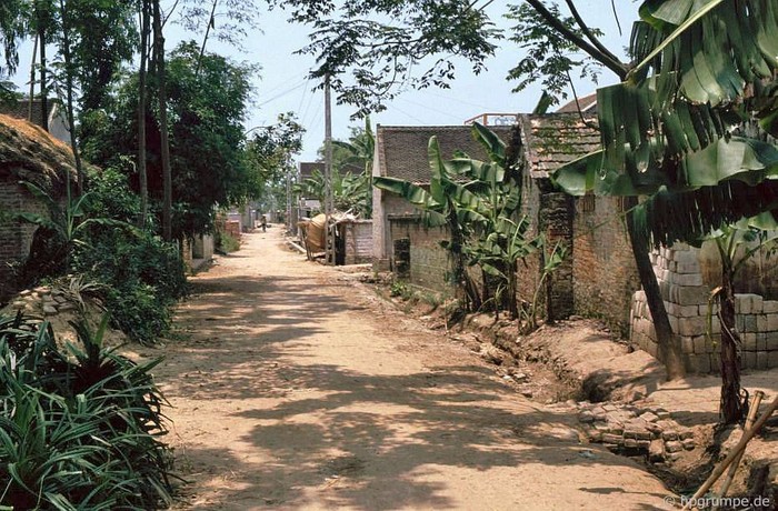 Khung cảnh tại làng Đông Hồ. Ảnh chụp năm 1991.