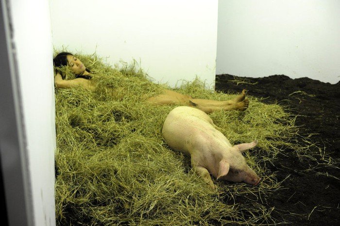 ... tự thân Miru Kim chui vào trong một căn phòng bằng kính cùng các chú lợn với tên tác phẩm là “Tôi yêu lợn, lợn cũng yêu tôi” trong 4 ngày.
