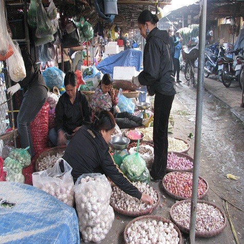 Hành, tỏi ngoại tràn ngập tại các chợ đầu mối.