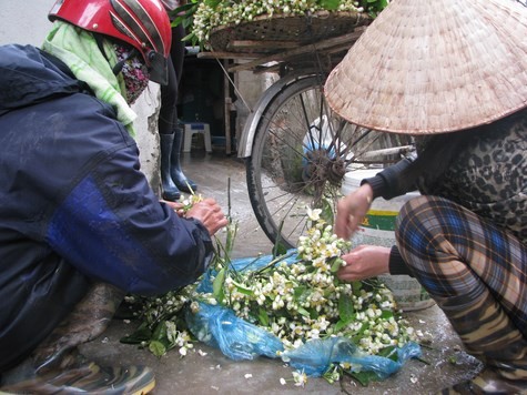 Sắp hoa thành từng chùm...