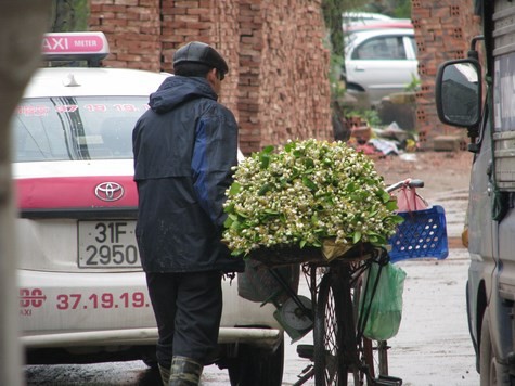 Hoa bưởi được mang đến tận tay người tiêu dùng.