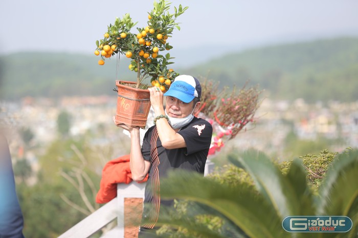 Những chậu đào, quất được các gia đình mang đến phần mộ người đã khuất, tô điểm sắc xuân cho khung cảnh nơi đây. (Ảnh: Nguyễn Nhất)