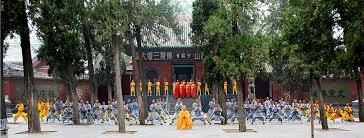 “Ngay cả thủ quỹ của chùa Thiếu Lâm cũng được chính quyền chỉ định vì vậy các khoản chi đều phải được phê duyệt. Các vị sư trụ trì không có tiếng nói trong vấn đề tài chính của nhà chùa”, ông Ji cho biết.