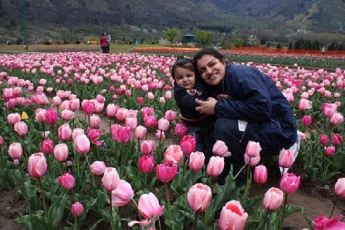 Vườn tulip ở Srinagar, Ấn Độ.