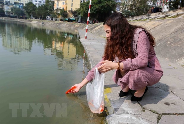 Người dân thủ đô thả cá chép tại khu vực hồ Ngọc Khánh. (Ảnh: Thành Đạt/TTXVN)