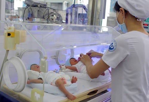 Cặp song sinh nhờ mang thai hộ đầu tiên khu vực phía Nam tại Bệnh viện Từ Dũ. (Ảnh: Phương Vy/TTXVN)