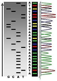 Xác định trình tự DNA rẻ và nhanh chóng: Hầu hết chúng ta đều biết đến về giải trình tự DNA nhưng bạn có thể không biết được mức độ rẻ và nhanh của nó như thế nào. Như Adrienne Burke đã chỉ ra, tốc độ xác định trình tự bộ gien tăng gấp hơn hai lần cứ mỗi hai năm kể từ năm 2003, thời điểm mà giá của nó phải mất 3,8 tỷ đô la. Ngày nay, nhờ vào tiến bộ của ngành hóa học axit nucleic và phép dò, một công ty như Life Technologies có thể tạo DNA trên một chip bán dẫn với giá chỉ một nghìn đô la mỗi bộ gen. Các công ty khác có thể xác định trình tự một bộ gen hoàn chỉnh trong chỉ một ngày. Nhờ đó, các loại thuốc đặc trị có thể được sản xuất để chữa bộ gen đặc thù nào đó của con người.