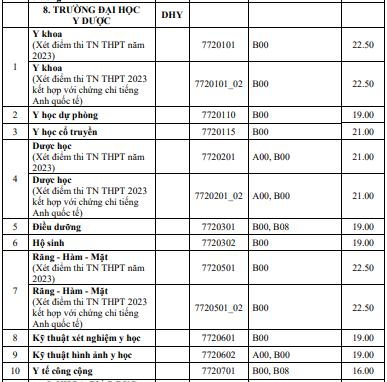 Ngưỡng đảm bảo chất lượng đầu vào đối với khối ngành sức khoẻ dựa vào kết quả thi tốt nghiệp trung học phổ thông năm 2023 của Trường Đại học Y Dược – Đại học Huế. (Ảnh chụp màn hình).