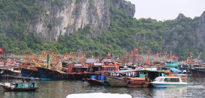 Nhiều tàu thuyền đã tìm được nơi tránh bão an toàn. (Ảnh minh họa)