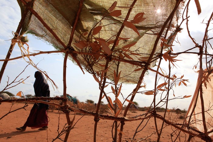 Khu vực Sừng Châu Phi nghèo đói hiện nay đang phải chịu đựng thảm kịch hạn hán và mất mùa tồi tệ nhất trong vòng 100 năm qua.