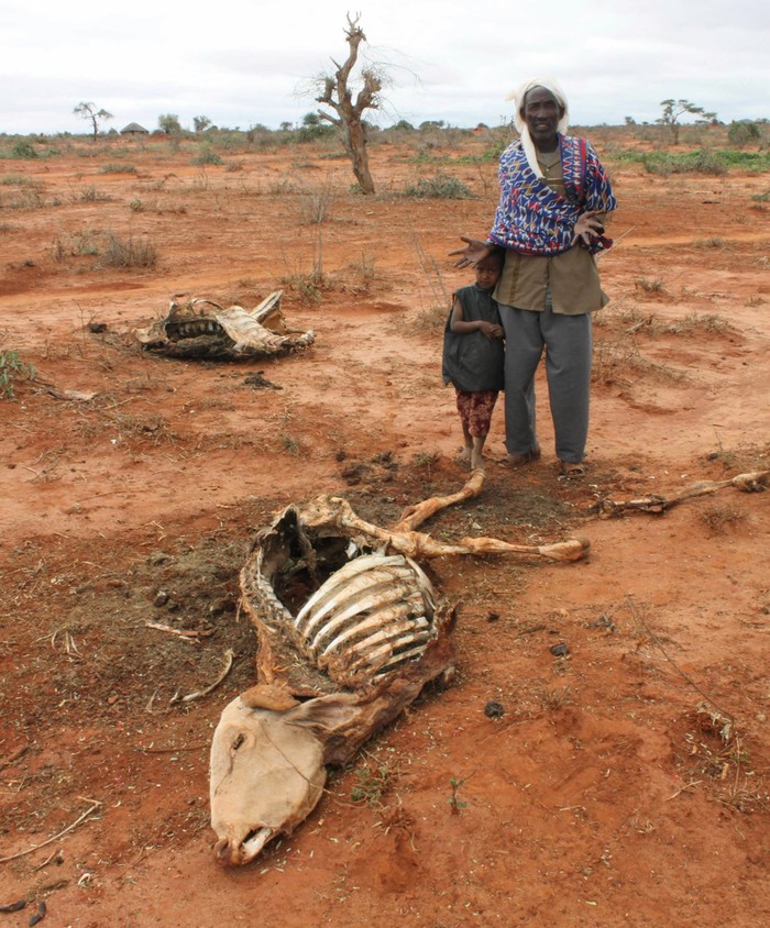 Khu vực Sừng Châu Phi nghèo đói hiện nay đang phải chịu đựng thảm kịch hạn hán và mất mùa tồi tệ nhất trong vòng 100 năm qua.