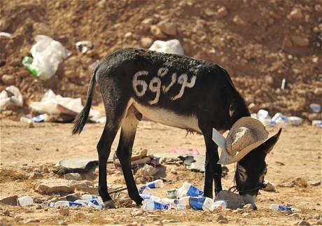 Một con lừa được sơn số 69, ám chỉ năm lên nắm quyền của đại tá Gaddafi ở Libya