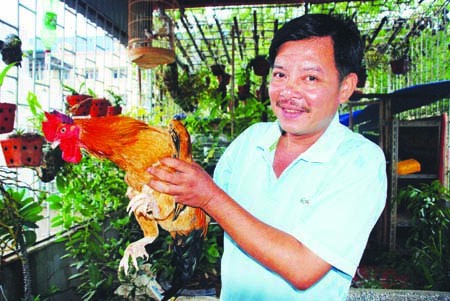 Diễn viên Quang Lâm với con gà trống bảy cựa mang về từ Xuân Sơn