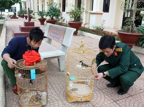 Phút thư giãn sau một ngày huấn luyện với cường độ cao