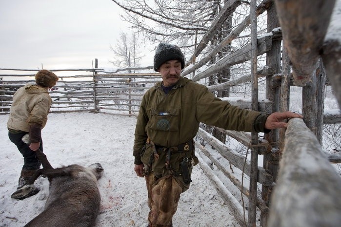 Trang trại nuôi hươu của gia đình ông Vasily Nikolaevich