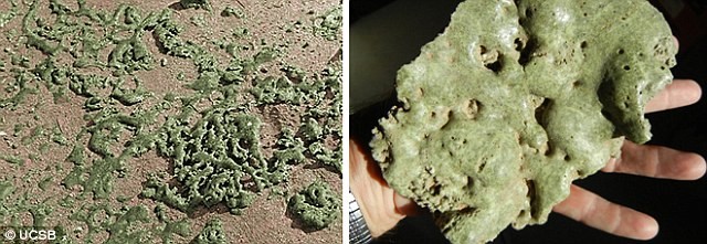 Loại thủy tinh tan chảy này từng được tìm thấy trong vụ nổ nguyên tử Trinity ở New Mexico (Mỹ) năm 1945.