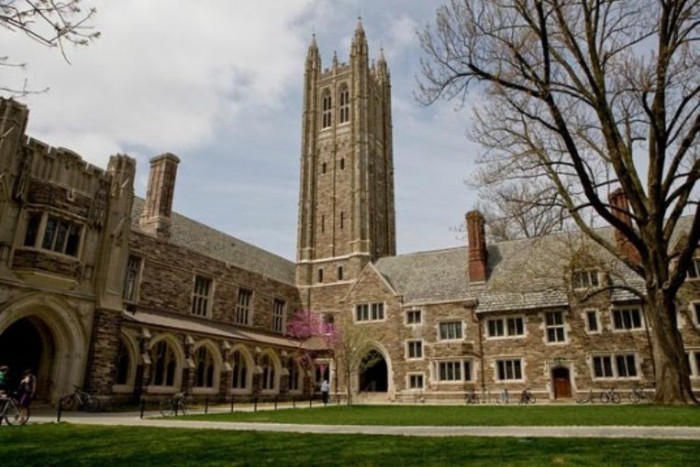 10. Princeton university. Thành lập vào năm 1746 và cũng là một trường tư thục. Khuôn viên nằm tại ngoại thành và có diện tích 600 acre (2.4 km²). Khẩu hiệu của trường là: Dei sub numine viget