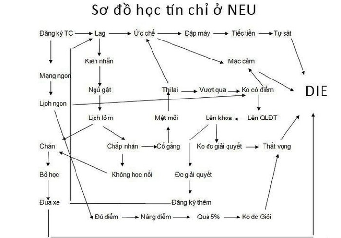 Sau khi đọc sơ đồ này, bạn sẽ thấy nhiều ngôi sao xuất hiện.