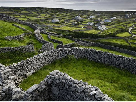 Những cánh đồng của Ireland được ngăn bằng hang rào đá tạo nên những bức tranh hình khối tuyệt đẹp