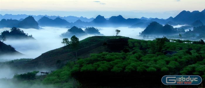 Cao nguyên Mộc Châu trong sương sớm. Ảnh: Tùng Dương.