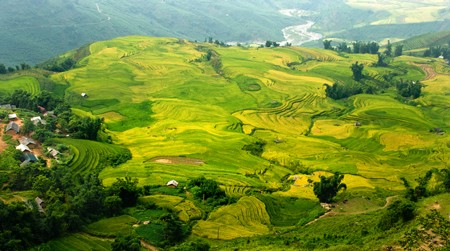 Lẫn trong dòng người đổ về Bát Xát, ngoài các vị khách du lịch còn có rất đông những nhiếp ảnh gia tới đây để được thu vào ống kính những khuôn hình đẹp say đắm lòng người.