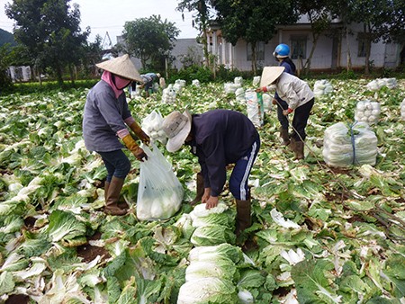 Đời sống của người nông dân luôn là vấn đề thời sự