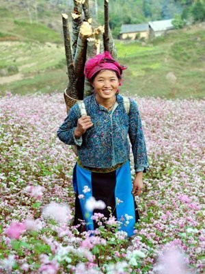 Thiếu nữ Mông trên cao nguyên đá Đồng Văn