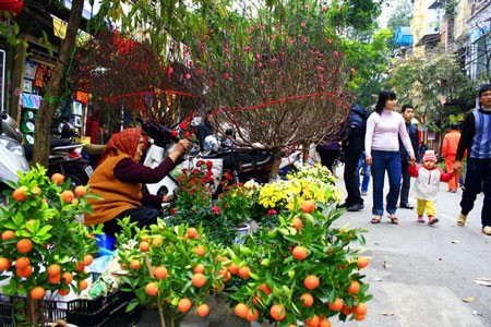 Phương án nghỉ Tết Nguyên đán 9 ngày được đông đảo nhân dân ủng hộ.