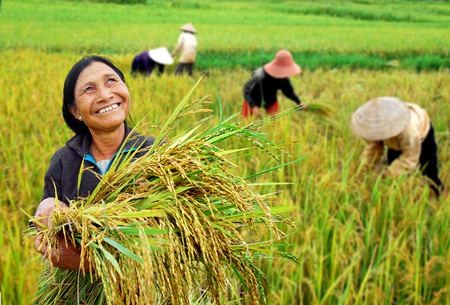 Năng suất lao động Việt Nam thuộc nhóm thấp trong khu vực. ảnh: vietq.