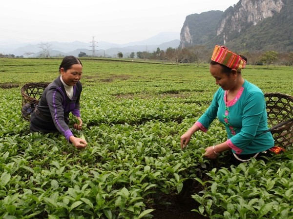 Thủ tướng yêu cầu tăng cường chính sách xã hội, nâng cao đời sống của nhân dân. ảnh: TTXVN.