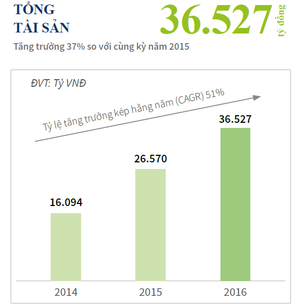 Năm 2016, tổng tài sản của Novaland đạt 36.527 tỷ đồng.