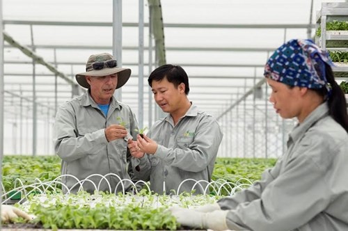 Nông nghiệp Việt Nam hướng đến những sản phẩm chất lượng cao. ảnh: vineco.