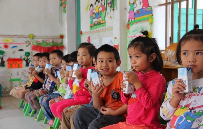 TH SCHOOL MILK đang được sử dụng trong Chương trình Sữa học đường Nghệ An, đạt nhiều hiệu quả về can thiệp dinh dưỡng.