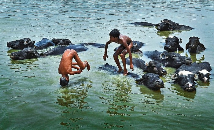 Darpan Basak, 19 tuổi đến từ Ấn Độ cho biết hình ảnh của mình minh hoạ cuộc sống yên bình giữa con người và thiên nhiên.