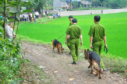 Người dân kéo nhau đến hiện trường vụ tai nạn theo dõi công tác cứu hộ. Người thân các nạn nhân vẫn ngóng chờ tin tức. Chó nghiệp vụ được huy động. Ban chỉ huy cứu nạn tính toán các phương án giảm thiểu thiệt hại.