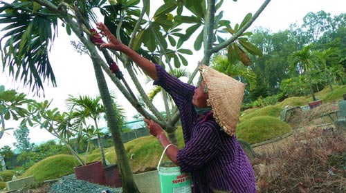 Mưu sinh trên đất... nghĩa trang, Tin tức trong ngày, dat nghia trang, nghia trang, nghia dia, phan mo, kinh doanh nghia trng, nghia trang binh hung hoa, mo ma, ngoi mo, bao, tin tuc, tin hot, tin hay