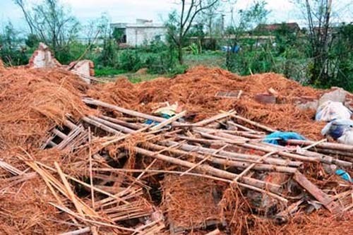 Bà cụ đơn thân bị nhà đè chết trong bão, Tin tức trong ngày, bao son tinh, bao so 8, sieu bao, bao di chuyen nhanh, sieu bao son tinh, bao 2012, mua mua bao, mua mua bao 2012, bao, tin nhanh, tin hot, tin tuc, vn