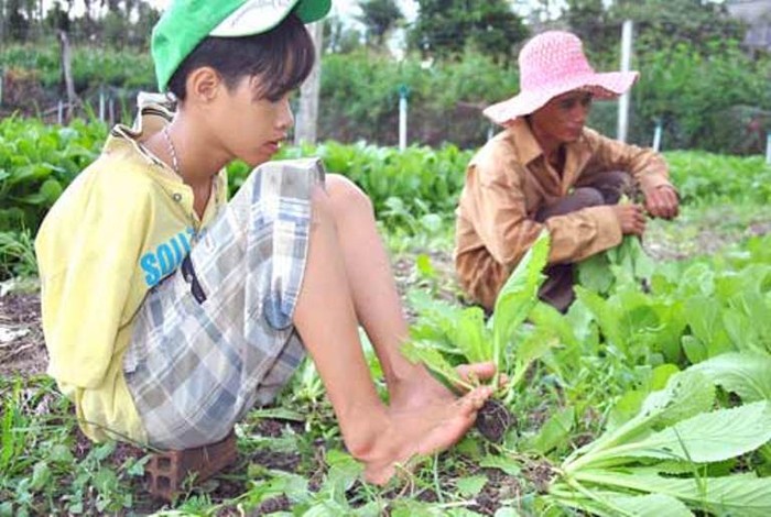 Không chỉ làm việc nhà, Hạnh còn giúp bố mẹ nhổ cỏ, nhổ rau, cắt rau... Hạnh chia sẻ: “Em tập để có thể làm được tất cả mọi việc và cũng để chứng tỏ mình không phải là người vô dụng”.