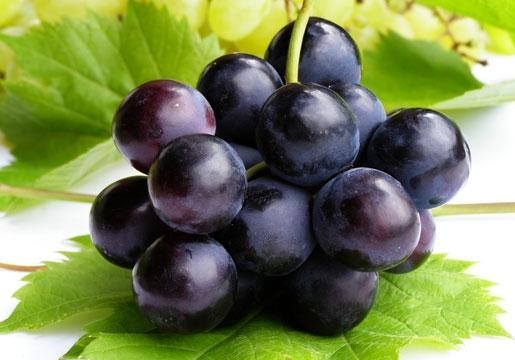 Những trái cây màu tím chứa cyanidin có tác dụng giải tỏa mệt mỏi của đôi mắt.