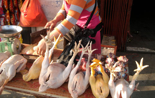Gà đẻ thải loại đội lốt gà Đông Tảo bán tràn lan ngoài chợ với giá rẻ. (ảnh B.H)