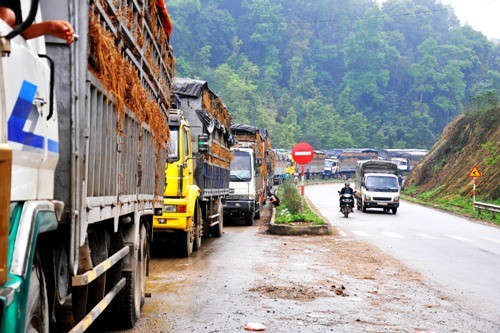 Xe chở dưa hấu ùn tắc hàng chục km ở cửa khẩu Tân Thanh (Ảnh Thanh Niên)