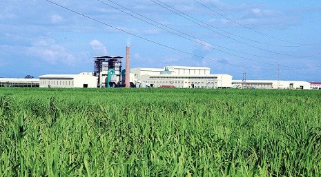 Cụm công nghiệp mía đường HAGL tại Attapeu (Lào).
