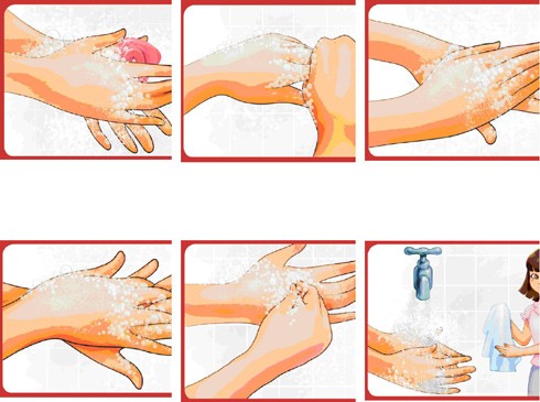 6 bước rửa tay đúng cách.