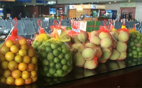 Nhiều loại hoa quả đặc sản miền Bắc được bán tại sân bay Nội Bài. (Ảnh: VTV)