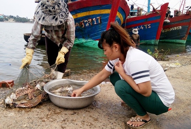 Người dân khó phân biệt được đâu là hải sản gần bờ hay xa bờ (Ảnh: Thủy Phan)