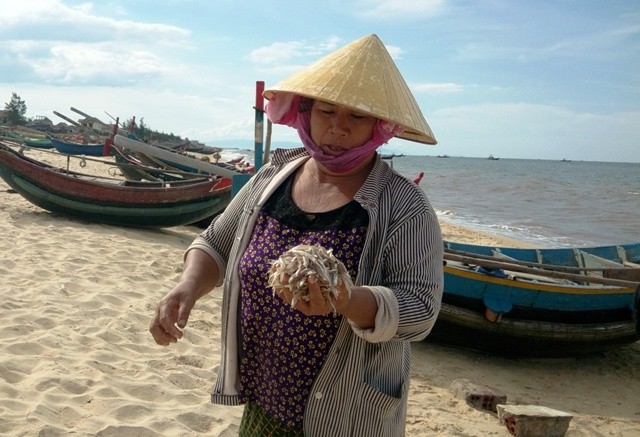 Nhiều thương lái cũng cho biết, thị trường mua bán hải sản đã ổn định trở lại (Ảnh: Thủy Phan)