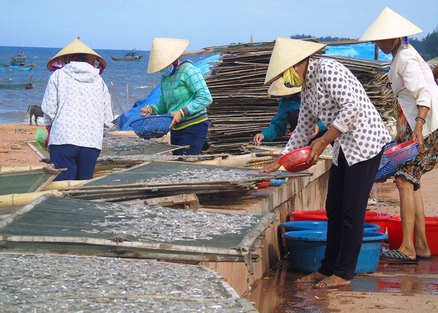 Nhịp sống làng biển đã hồi sinh (Ảnh: Thủy Phan)