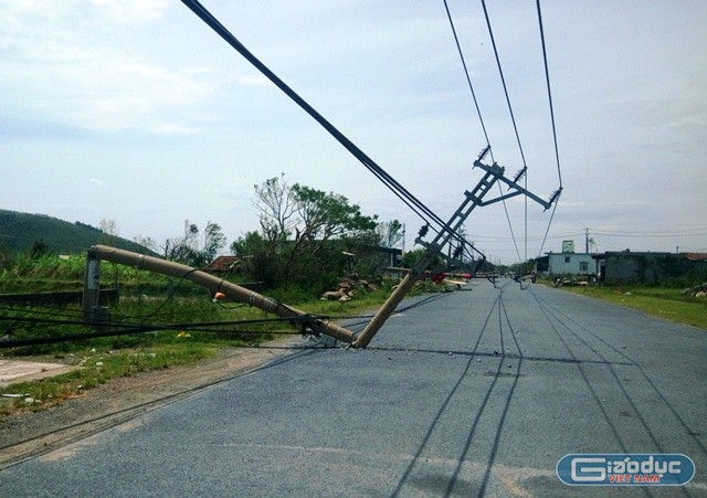 Cột điện ở nhiều nơi đổ ngổn ngang.